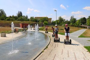 Segway Fun & Beer Torus